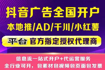 百度竞价策略解析：案例分析及优化建议